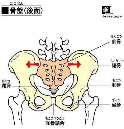 古淵 相模原 町田で生理痛 内臓からの腰痛の整体 カイロ からだケアルーム クオリア