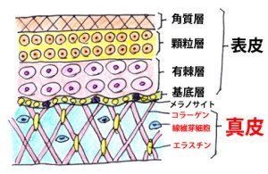 rouhaibutsu2