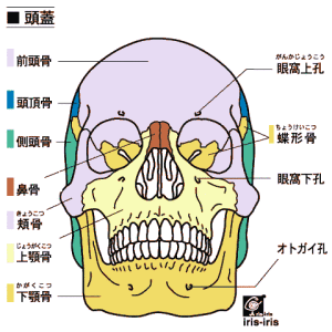 zugai
