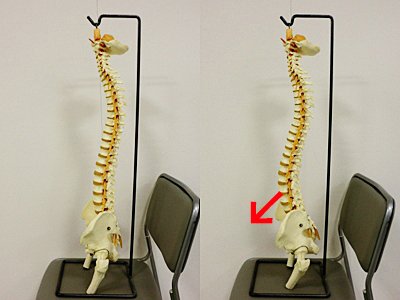 からだケアルーム クオリア 骨盤が前傾すると骨盤周囲が大きくなる